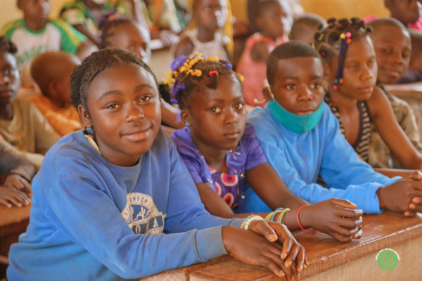 Rainforest Protection